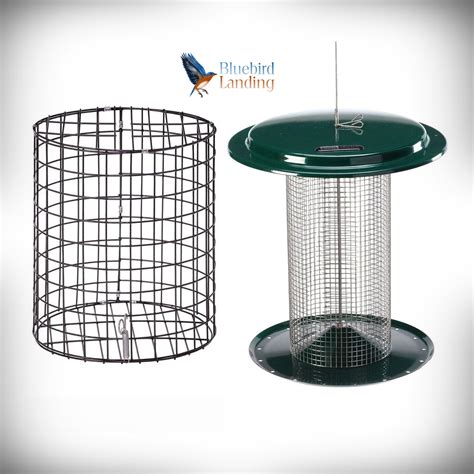 Caged 3 Quart Metal Mesh Sunflower Bird Feeder Green