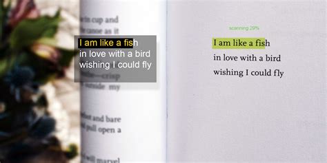 Image result for Vision Encoder/Decoder Image to Text