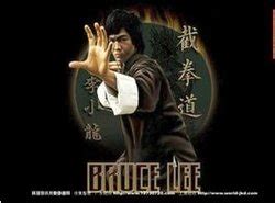 好莱坞将拍李小龙传奇 电影取名《龙的诞生》-搜狐娱乐