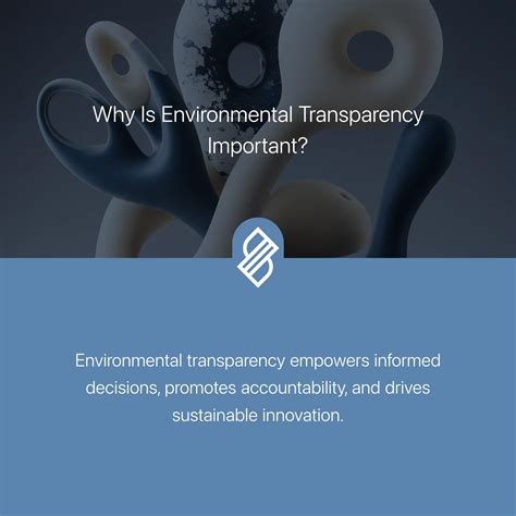 Environmental Variables → Term - why is important environment
