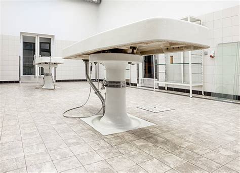 Image result for Compost Autopsy