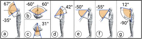 Image result for Contralateral Head Rotation