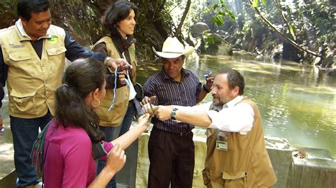 Agua potable y saneamiento básico para comunidades campesinas de la ...