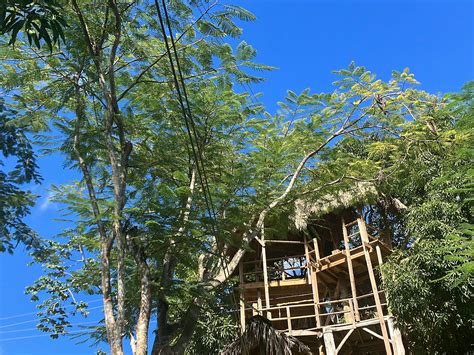 ZIP LINES ADVENTURES BY RUNNERS ADVENTURES (2026) All You Need to Know ...
