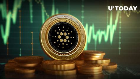 Latest Cardano 的图像结果