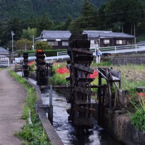 NIINO NO SUISYA (2026) All You Need to Know BEFORE You Go (with Photos ...