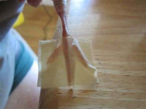 How to Fix Curled Toes in Chicks | BackYard Chickens - Learn How to Raise Chickens