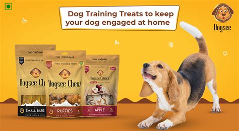 Dog Training Treats to keep your dog engaged at home