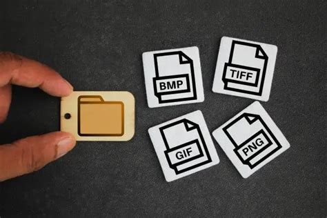 Image result for BMP File Format Examples