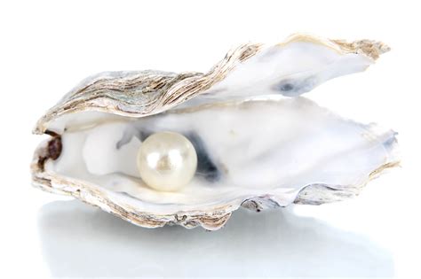 Pearls In Clams
