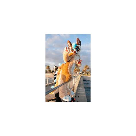 FurryWu Studio Apricot Brown Digi Huksy Dog Fursuit | Ubuy India