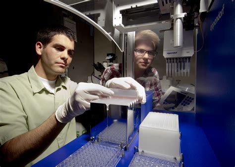 Capstone Project Biotech 的图像结果