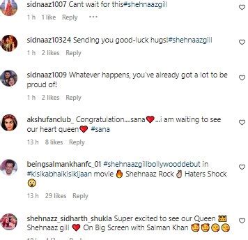 Shehnaaz Gill looks beautiful in Kisi Ka Bhai Kisi Ki Jaan teaser, fans ...