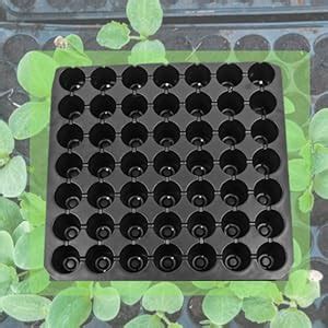Kraft Seeds Seedling Tray (Pack of 10, Black) | Germination Trays for ...