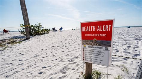 Florida red tide map: See current conditions. Symptoms, what to do