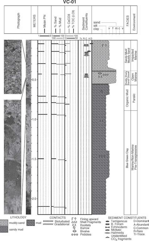 Image result for Via Core Vulcanizations