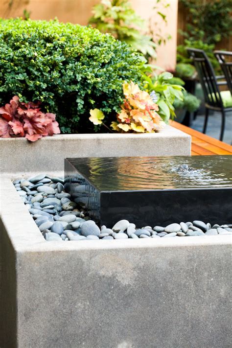 Modern Water Garden