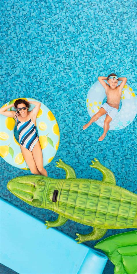 How Does a Sta-Rite Pool Sand Filter Work 的图像结果