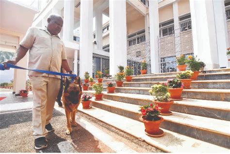 Security arrangements: ବିଧାନସଭା ଅଧିବେଶନ ପାଇଁ ସୁରକ୍ଷା ବ୍ୟବସ୍ଥା, ୩୫ ...