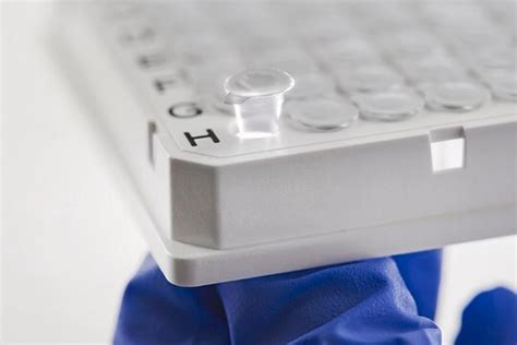 PeelASeal Foil Sealing Film, 96 Foil Seal Spots, 5 sheets