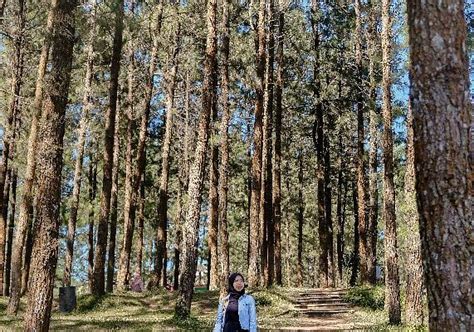 AGRO TOURISM LEMBAH ASRI SERANG - All You SHOULD Know Before Going 2026 ...