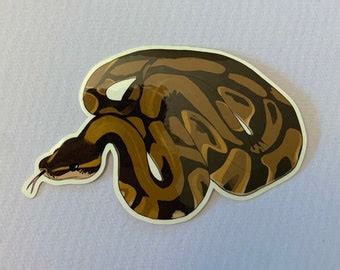 Image result for Red Bubble Ball Python Sticker