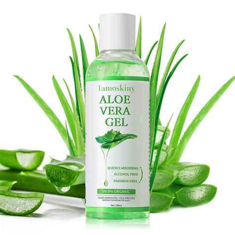 Best Sunburn Aloe Vera at Henry Copeland blog