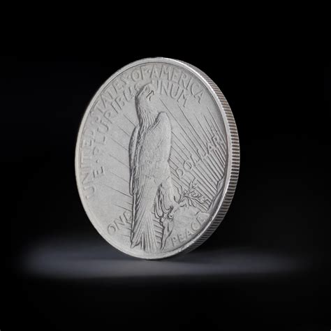 Vintage 1923 Peace Silver Dollar at 1stDibs | 1923 silver dollar in god ...