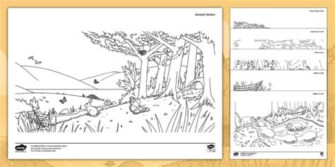 Animals and Their Homes Colouring Pages