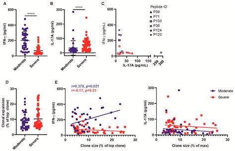 T-Cell Epitope Mapping of SARS-CoV-2 Reveals Coordinated IFN-γ ...