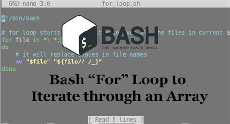 Add Items to Array Using for Loop Bash 的图像结果
