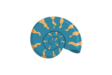 Image result for Normal Round Shell