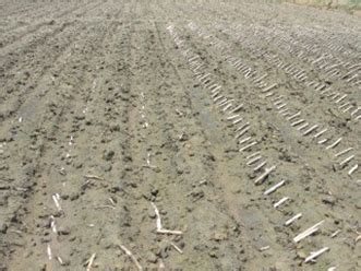 TNAU Agritech Portal :: Success Stories