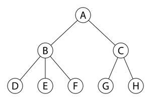 Image result for Python NetworkX Lowest Common Ancestor