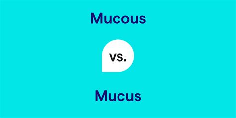 Mucous vs. Mucus: What's the Difference?