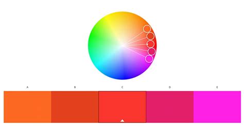 How to Color a Turtle 的图像结果