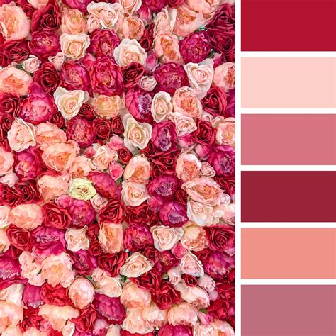 30 Flower Color Palettes for Coloring Pages – Raspiee Coloring