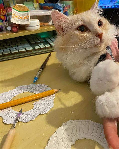 Daisyblooms 🌼 (@daisybloooms_) • Instagram photos and videos