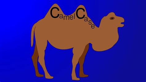 Image result for Source Code CamelCase