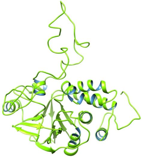 Molecular Role of Protein Phosphatases in Alzheimer’s and Other ...