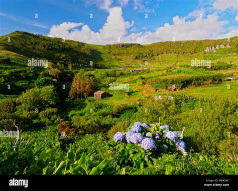 Landscape of Flores Island, Azores, Portugal Stock Photo - Alamy