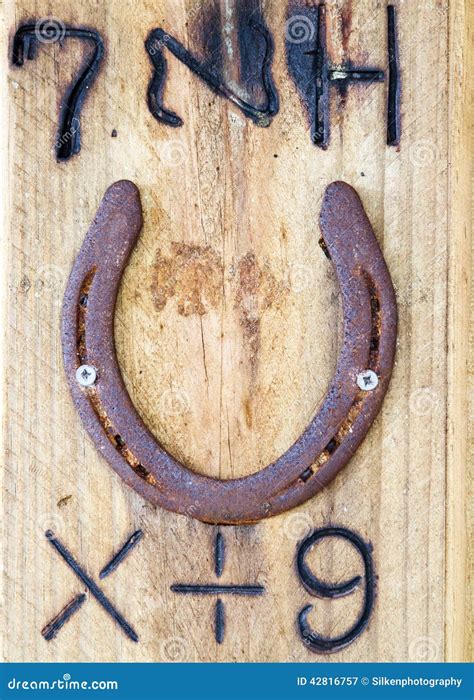 Mystical Symbols, Runic Circle, Futhark Lies On A Tree With Moss ...