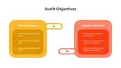 Audit Plan Objectives 的图像结果
