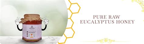 DEODAR ORGANICS' 100% Pure Raw Eucalyptus Honey (500 GM) - Natural ...