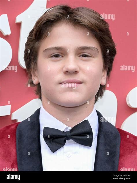 November 2, 2024, Hollywood, California, USA: Mason Nelligan attends ...