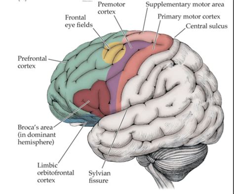 Image result for Cortex-R Vector Table