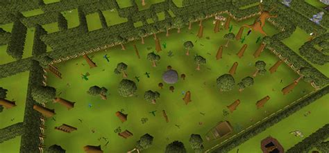 What Are The Best Teak Tree Spots in OSRS? – FandomSpot