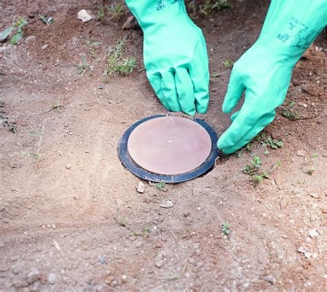 Innovative Termite Control Method | Rentokil PCI