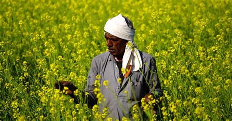 India must learn from Sri Lanka’s errors as it transitions to ...