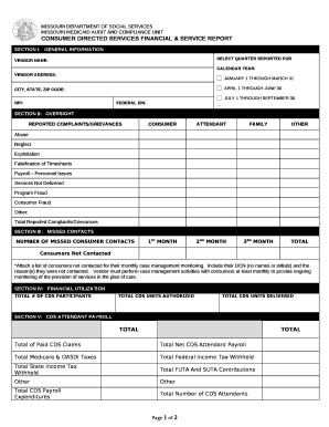 CONSUMER DIRECTED SERVICES FINANCIAL & SERVICE REPORT - Fill and Sign ...